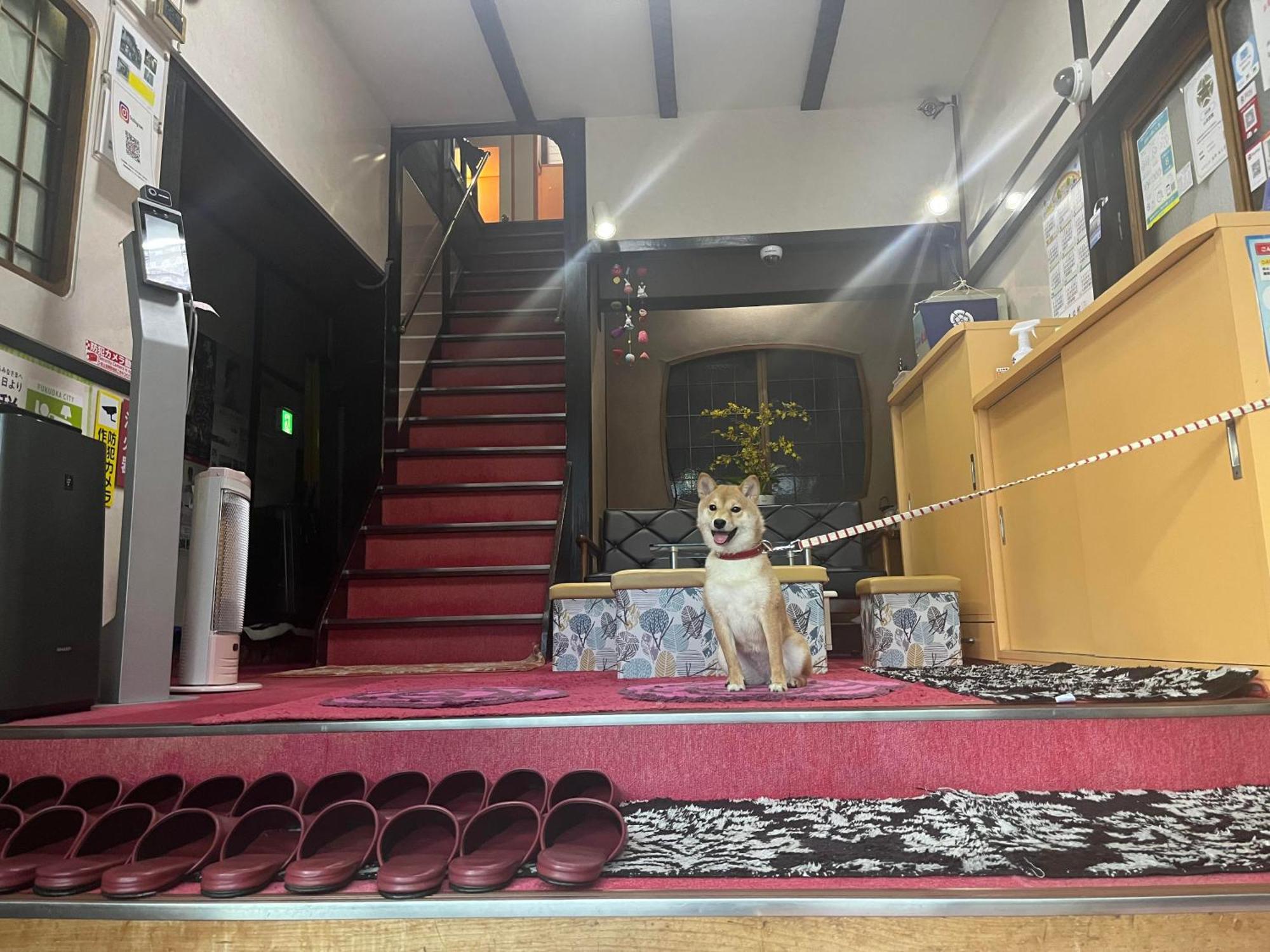 Yamamoto Ryokan Fukuoka  Exterior photo